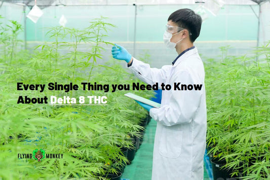 Every Single Thing You Need to Know About Delta 8 THC