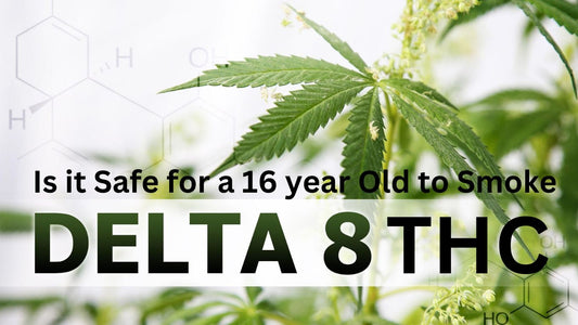 Is it Safe for a 16 year Old to Smoke Delta 8 THC Pre-Rolls?