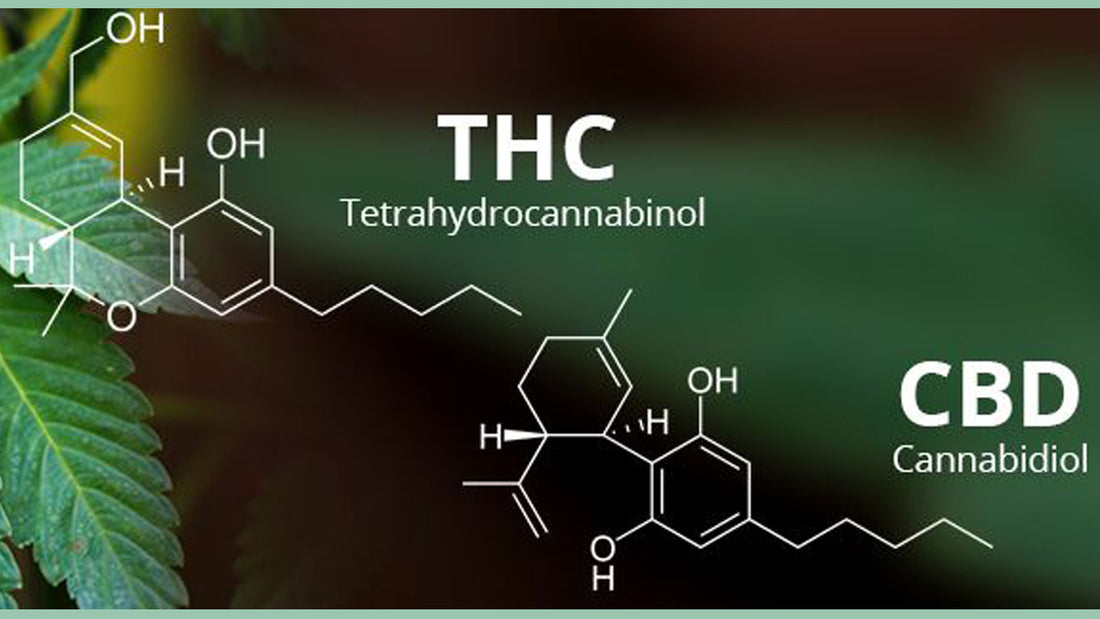 The Entourage Effect and Delta 8 THC
