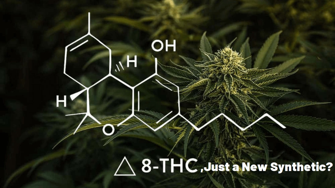 Is Delta 8 THC Just a New Synthetic?
