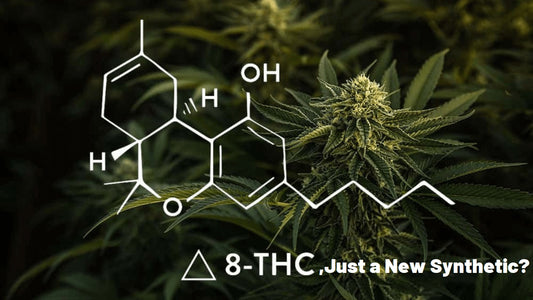 Is Delta 8 THC Just a New Synthetic?