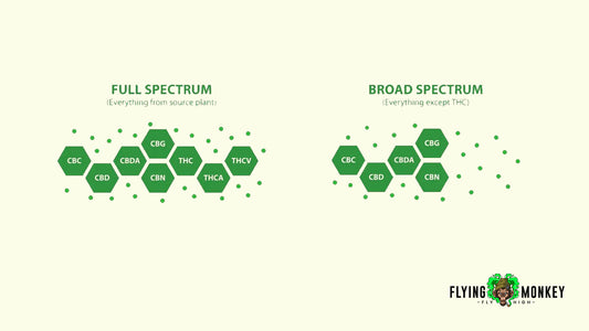 Detailed Comparison of Full Spectrum & Broad Spectrum CBD