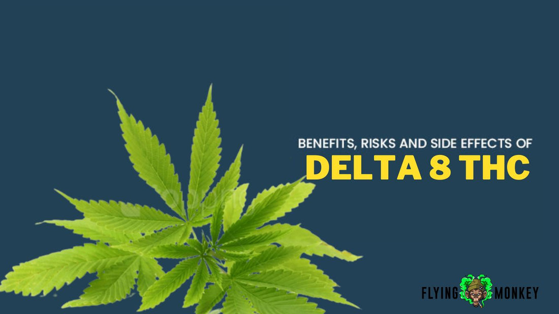Is Delta-8 THC Safe? Know the Risks and Side Effects of Delta-8
